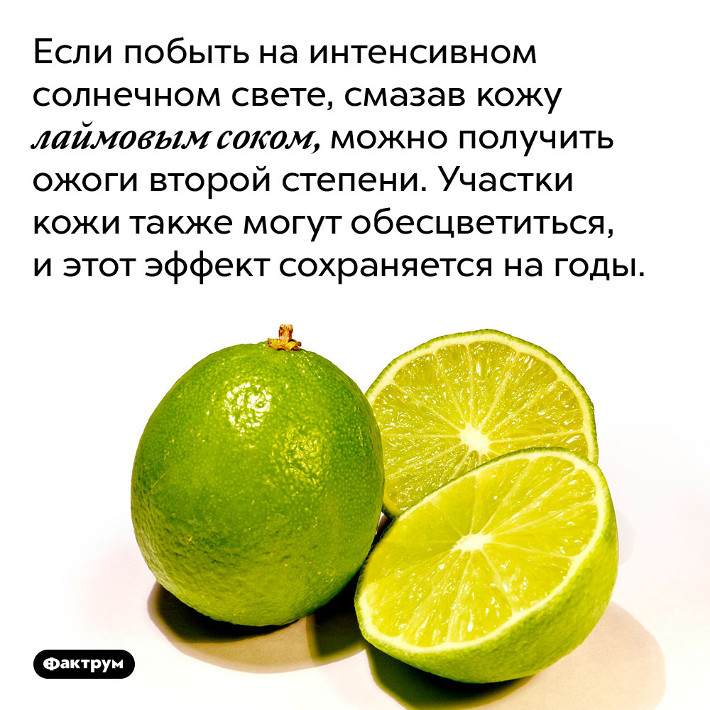 Если побыть на интенсивном солнечном свете, смазав кожу лаймовым соком, можно получить ожоги второй степени. Участки кожи также могут обесцветиться, и этот эффект сохраняется на годы.