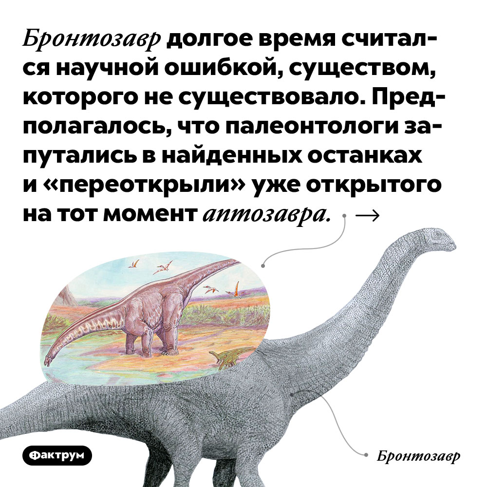 Бронтозавр долгое время считался научной ошибкой, существом, которого не существовало. Предполагалось, что палеонтологи запутались в найденных останках и «переоткрыли» уже открытого на тот момент аптозавра.
Недавно учёные поняли, что ошиблись, и останки всё-таки принадлежат разным животным. Итак, бронтозавр снова существует.