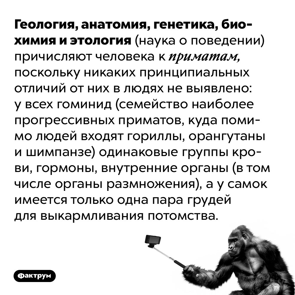 Геология, анатомия, генетика, биохимия и этология (наука о поведении) причисляют человека к приматам, поскольку никаких принципиальных отличий от них в людях не выявлено. У всех гоминид (семейство наиболее прогрессивных приматов, куда помимо людей входят гориллы, орангутаны и шимпанзе) одинаковые группы крови, гормоны, внутренние органы (в том числе органы размножения), а у самок имеется только одна пара грудей для выкармливания потомства.