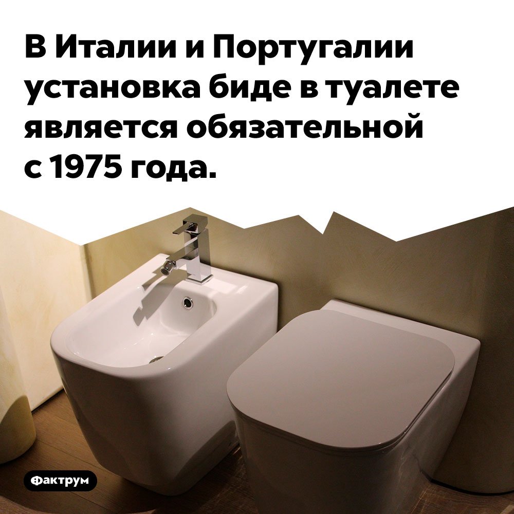 В Италии и Португалии установка биде в туалете является обязательной с 1975 года.