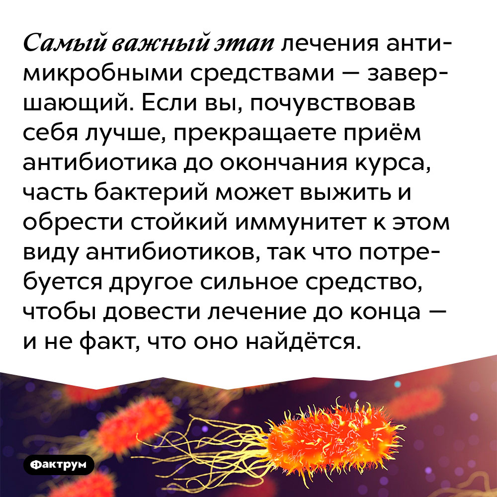 Самый важный этап лечения антимикробными средствами — завершающий. Если вы, почувствовав себя лучше, прекращаете приём антибиотика до окончания курса, часть бактерий может выжить и обрести стойкий иммунитет к этом виду антибиотиков, так что потребуется другое сильное средство, чтобы довести лечение до конца — и не факт, что оно найдётся.