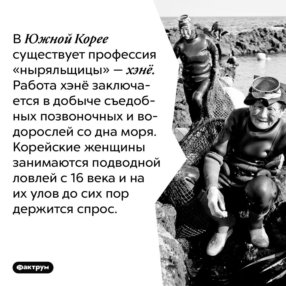 В Южной Корее существует профессия «ныряльщицы» — хэнё. Работа хэнё заключается в добыче съедобных позвоночных и водорослей со дна моря. Корейские женщины занимаются подводной ловлей с 16 века и на их улов до сих пор держится спрос.