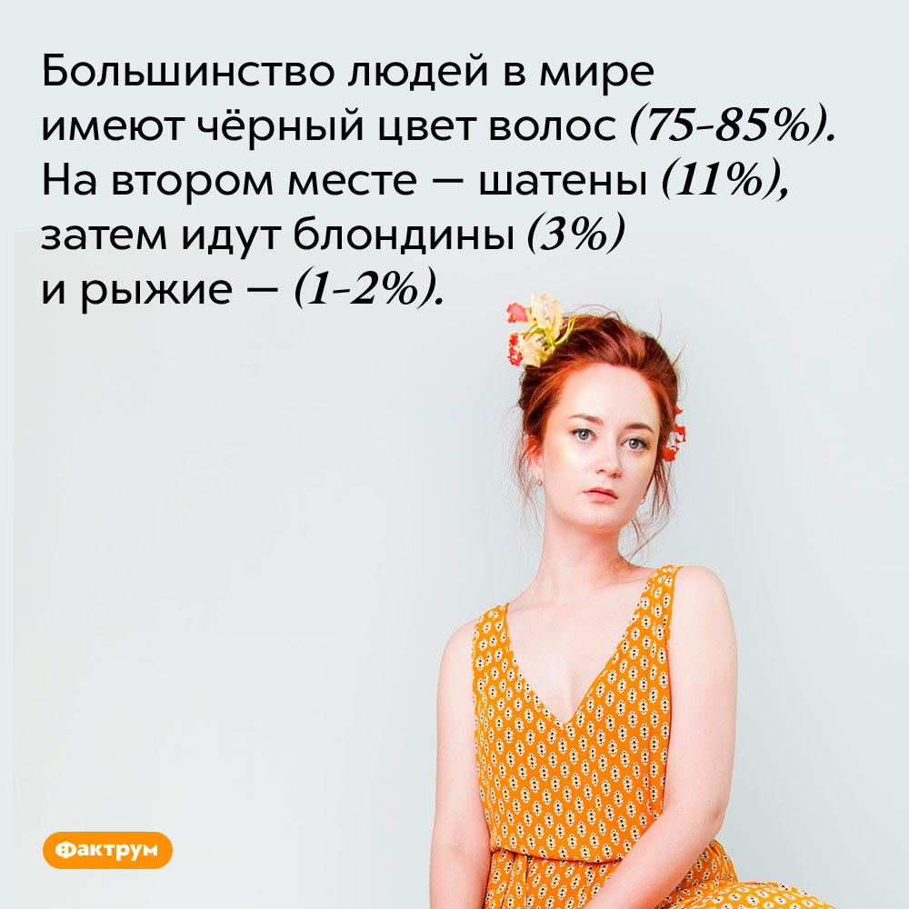 Большинство людей в мире имеют чёрный цвет волос (75-85%). На втором месте — шатены (11%), затем идут блондины (3%) и рыжие — (1-2%).