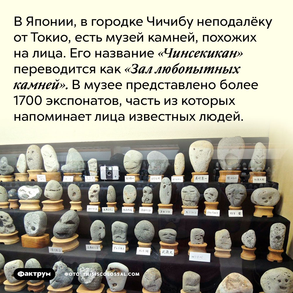 В Японии, в городке Чичибу, неподалёку от Токио, есть музей камней, похожих на лица. Его название «Чинсекикан» переводится как «Зал любопытных камней». В музее представлено более 1700 экспонатов, часть из которых напоминает лица известных людей.