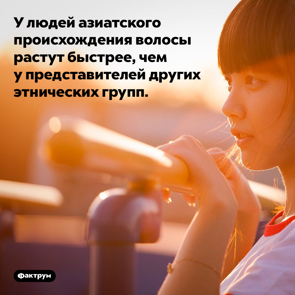 У людей азиатского происхождения волосы растут быстрее, чем у представителей других этнических групп.