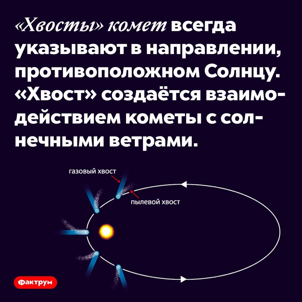 «Хвосты» комет всегда указывают в направлении, противоположном Солнцу. «Хвост» создаётся взаимодействием кометы с солнечными ветрами.