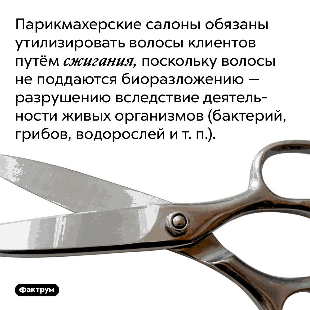 Парикмахерские салоны обязаны утилизировать волосы клиентов путём сжигания. Поскольку волосы не поддаются биоразложению — разрушению вследствие деятельности живых организмов (бактерий, грибов, водорослей и т. п.).