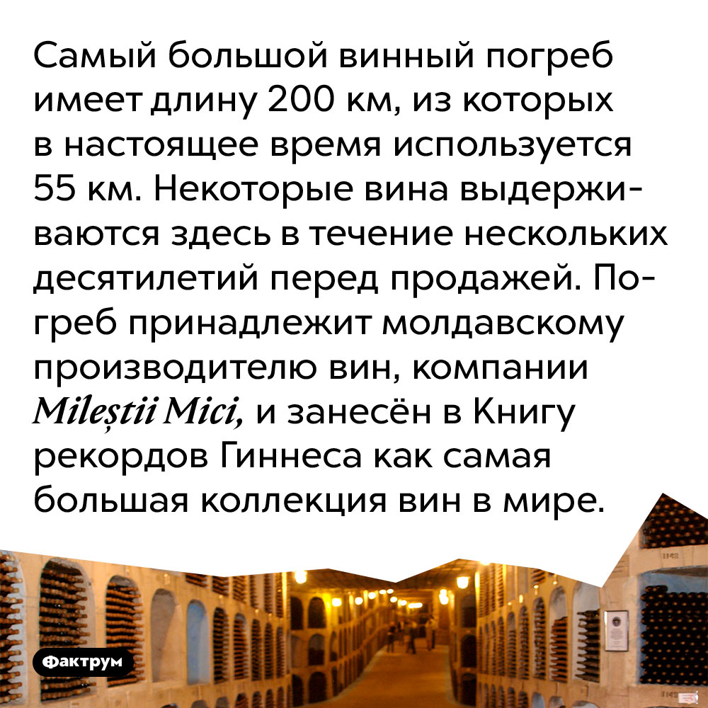 Самый большой винный погреб имеет длину 200 км, из которых в настоящее время используется 55 км. Некоторые вина выдерживаются здесь в течение нескольких десятилетий перед продажей. Погреб принадлежит молдавскому производителю вин, компании Mileștii Mici, и занесён в Книгу рекордов Гиннеса как самая большая коллекция вин в мире.