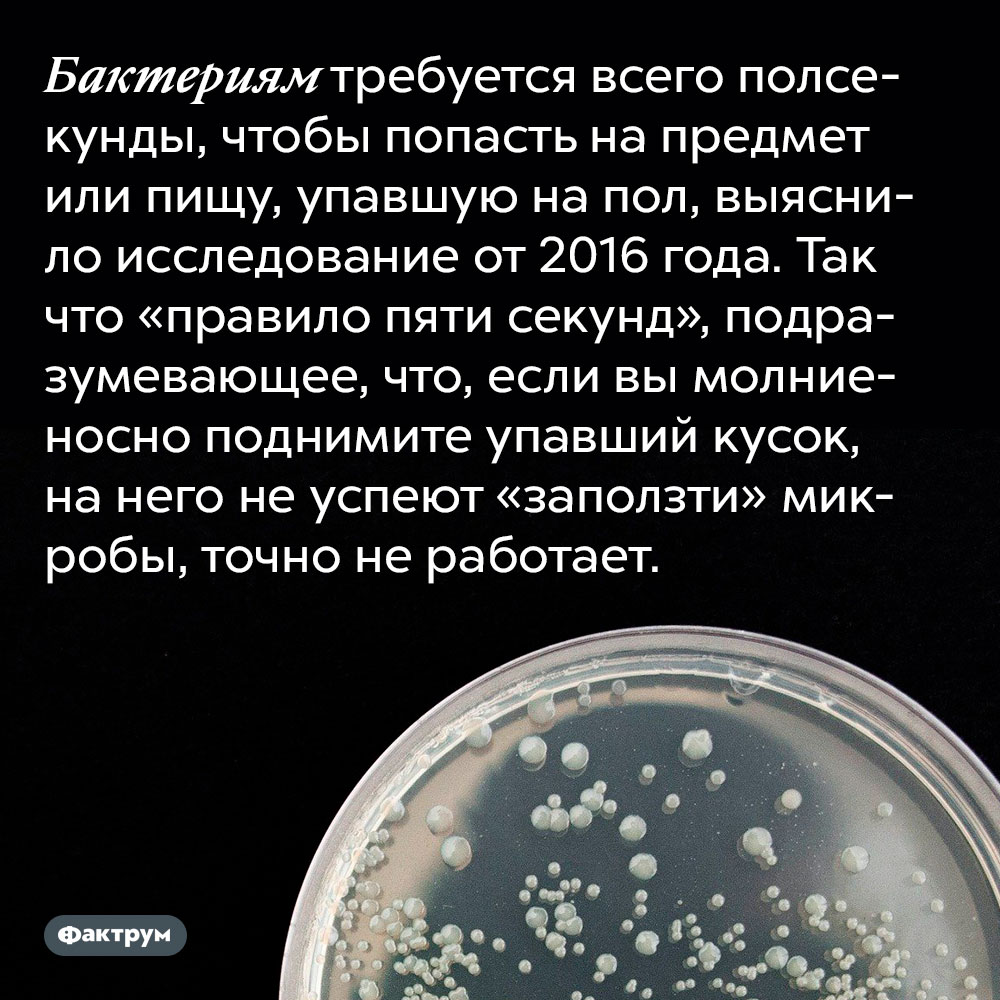 Бактериям требуется всего полсекунды, чтобы попасть на предмет или пищу, упавшую на пол, выяснило исследование от 2016 года. Так что «правило пяти секунд», подразумевающее, что, если вы молниеносно поднимите упавший кусок, на него не успеют «заползти» микробы, точно не работает.