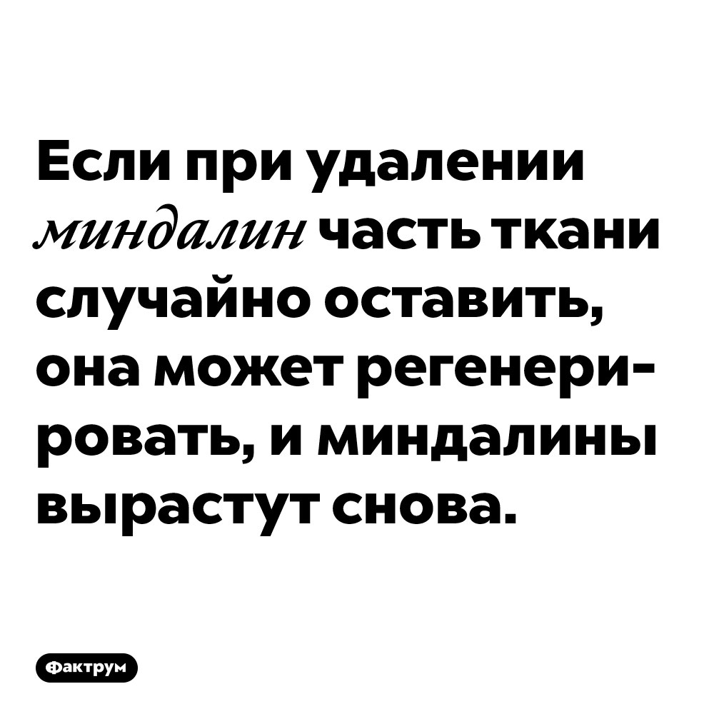 Если при удалении миндалин часть ткани случайно оставить, она может регенерировать, и миндалины вырастут снова.