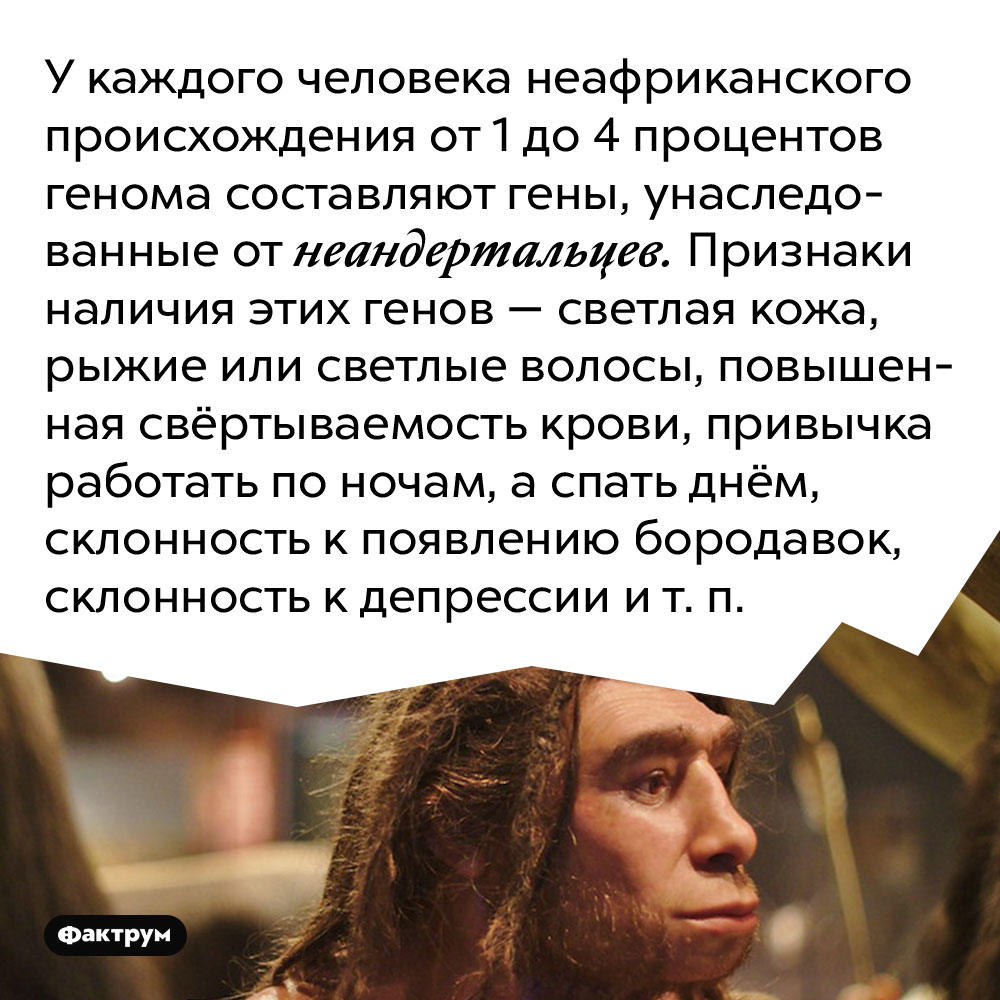 У каждого человека неафриканского происхождения от 1 до 4 процентов генома составляют гены, унаследованные от неандертальцев. Признаки наличия этих генов — светлая кожа, рыжие или светлые волосы, повышенная свёртываемость крови, привычка работать по ночам, а спать днём, склонность к появлению бородавок, склонность к депрессии и т. п.