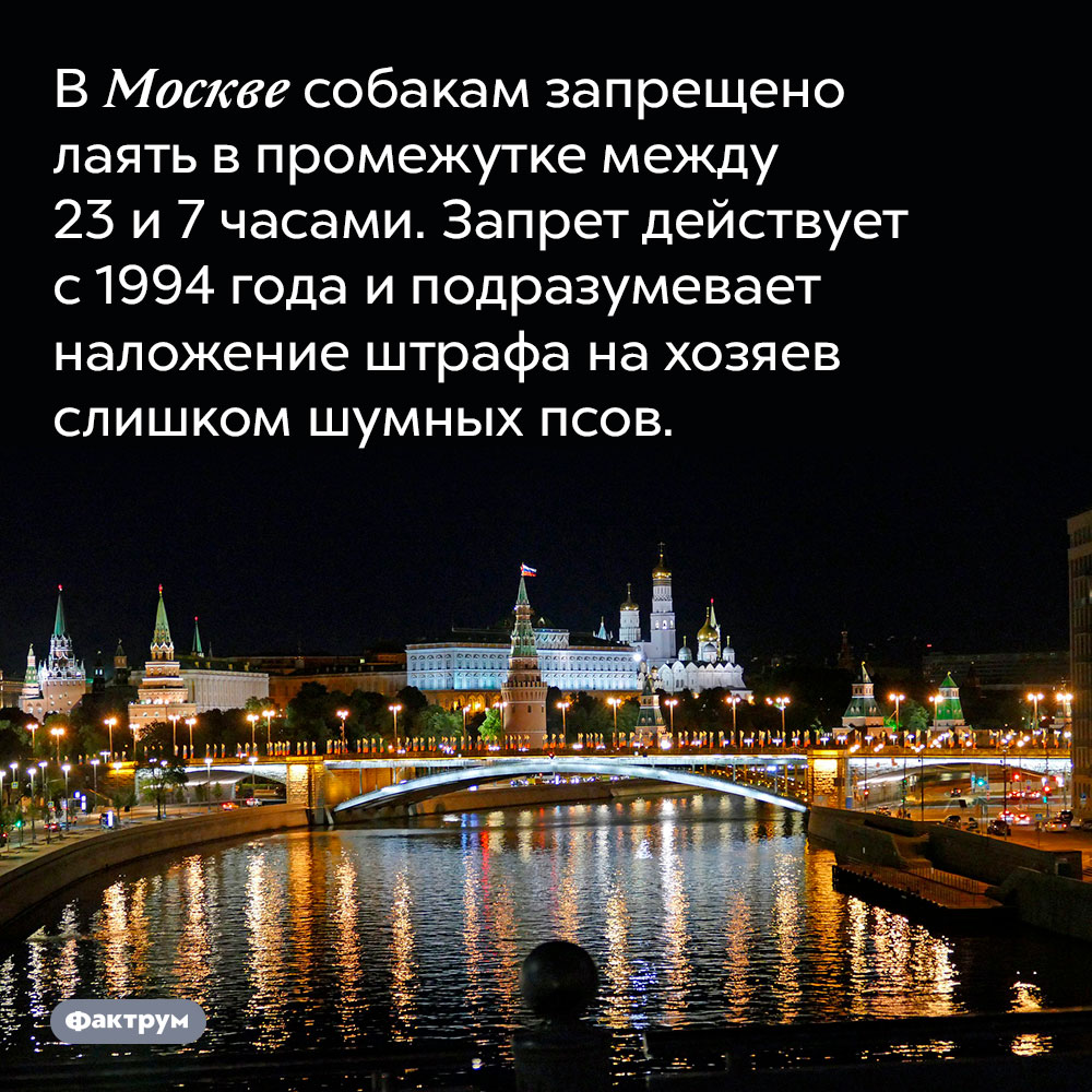 В Москве собакам запрещено лаять в промежутке между 23 и 7 часами. Запрет действует с 1994 года и подразумевает наложение штрафа на хозяев слишком шумных псов.