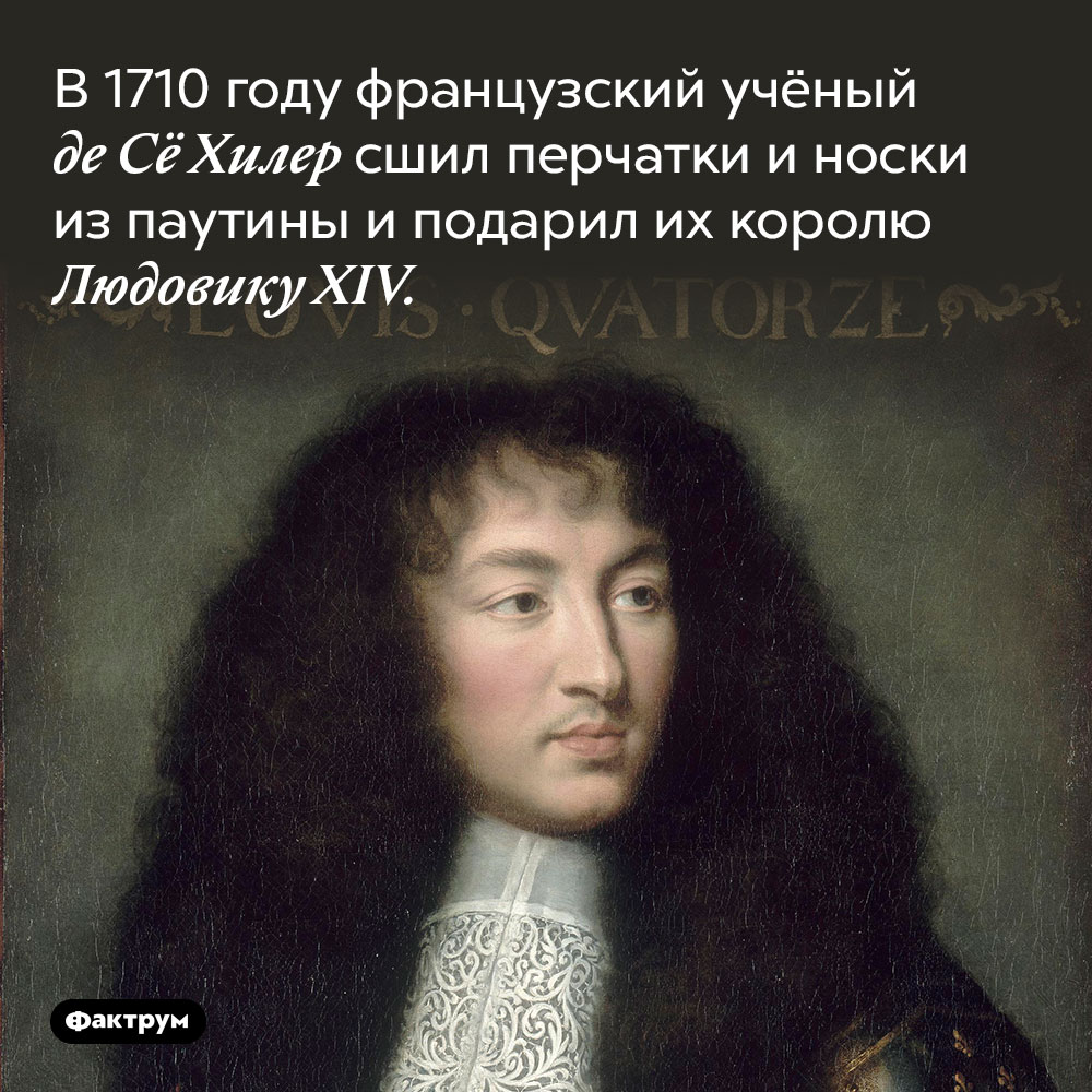 В 1710 году французский учёный де Сё Хилер сшил перчатки и носки из паутины. И подарил их королю Людовику XIV, главному моднику Франции в то время.