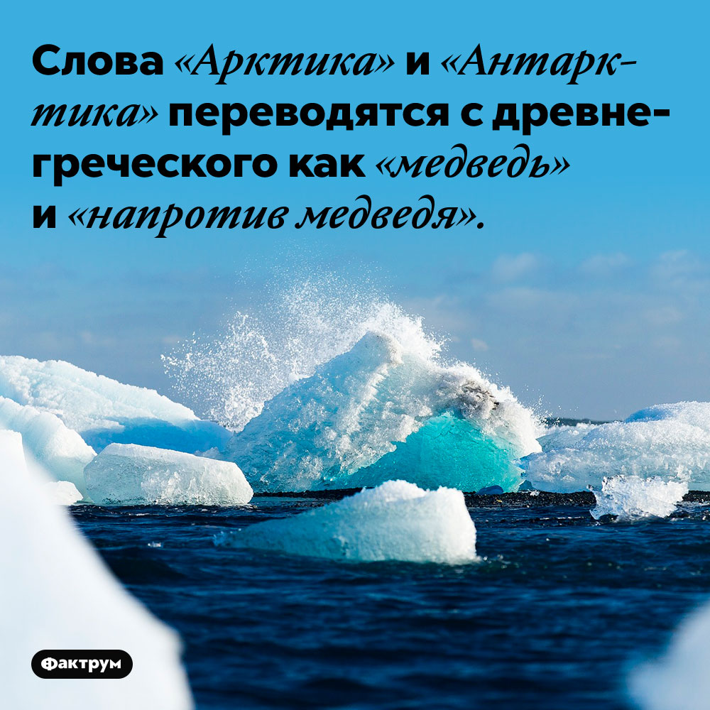 Слова «Арктика» и «Антарктика» переводятся с древнегреческого как «медведь» и «напротив медведя». 