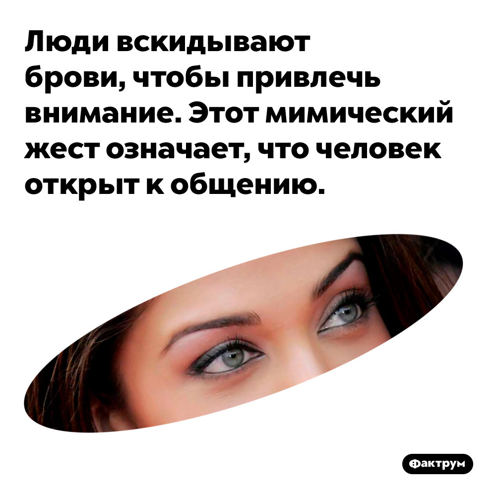 Люди вскидывают брови, чтобы привлечь внимание. Этот мимический жест означает, что человек открыт к общению.