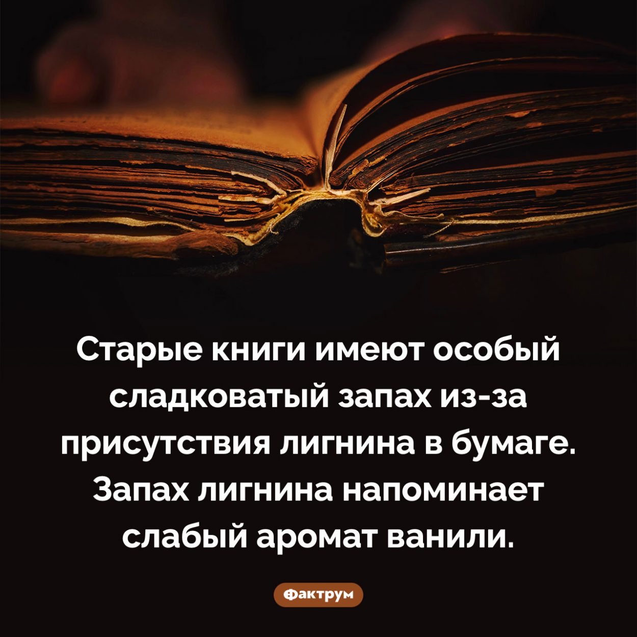 Чем пахнут старые книги. Старые книги имеют особый сладковатый запах из-за присутствия лигнина в бумаге. Запах лигнина напоминает слабый аромат ванили.