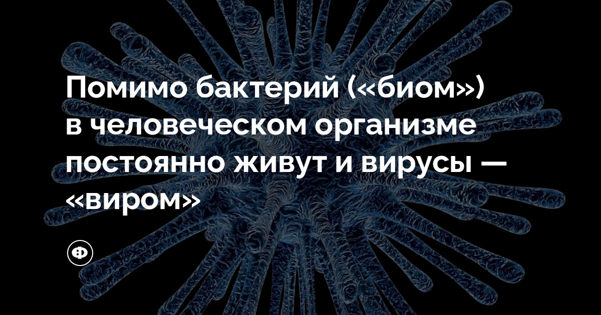 Что такое «виром»