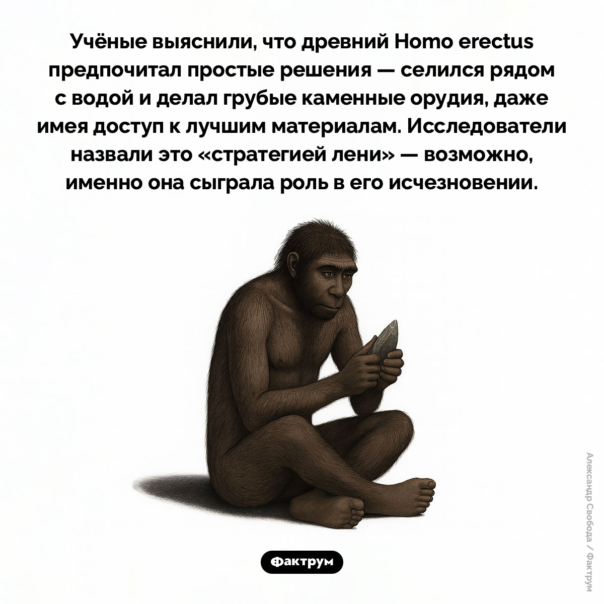 Homo erectus вымерли из-за лени. Учёные выяснили, что древний Homo erectus предпочитал простые решения — селился рядом с водой и делал грубые каменные орудия, даже имея доступ к лучшим материалам. Исследователи назвали это «стратегией лени» — возможно, именно она сыграла роль в его исчезновении.