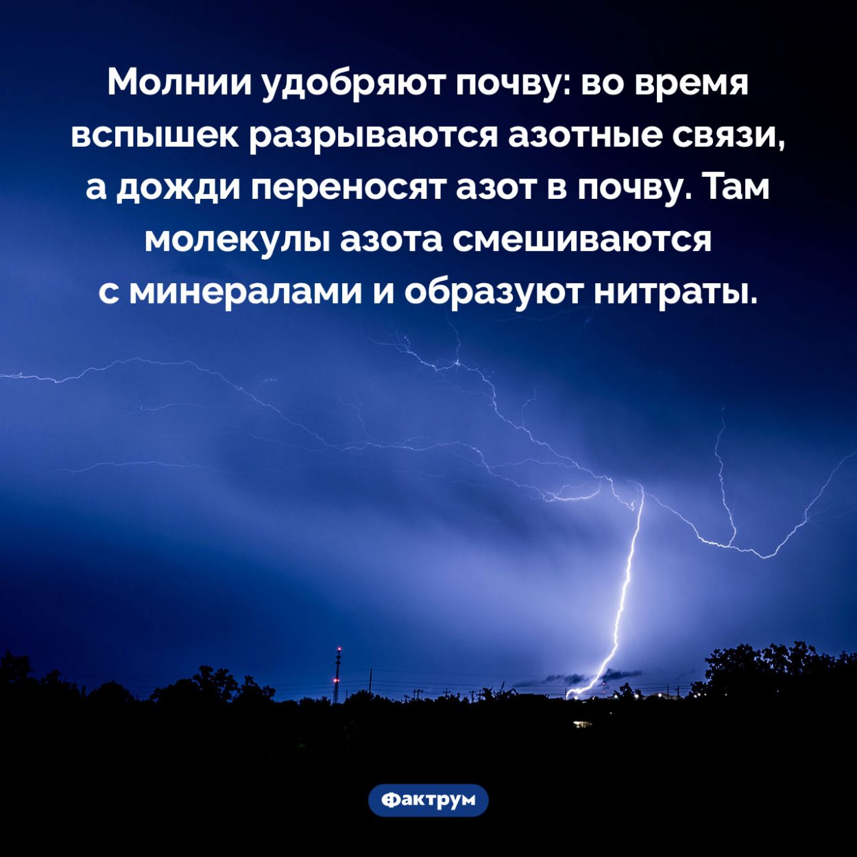 Как молнии удобряют почву. Молнии удобряют почву: во время вспышек разрываются азотные связи, а дожди переносят азот в почву. Там молекулы азота смешиваются с минералами и образуют нитраты.