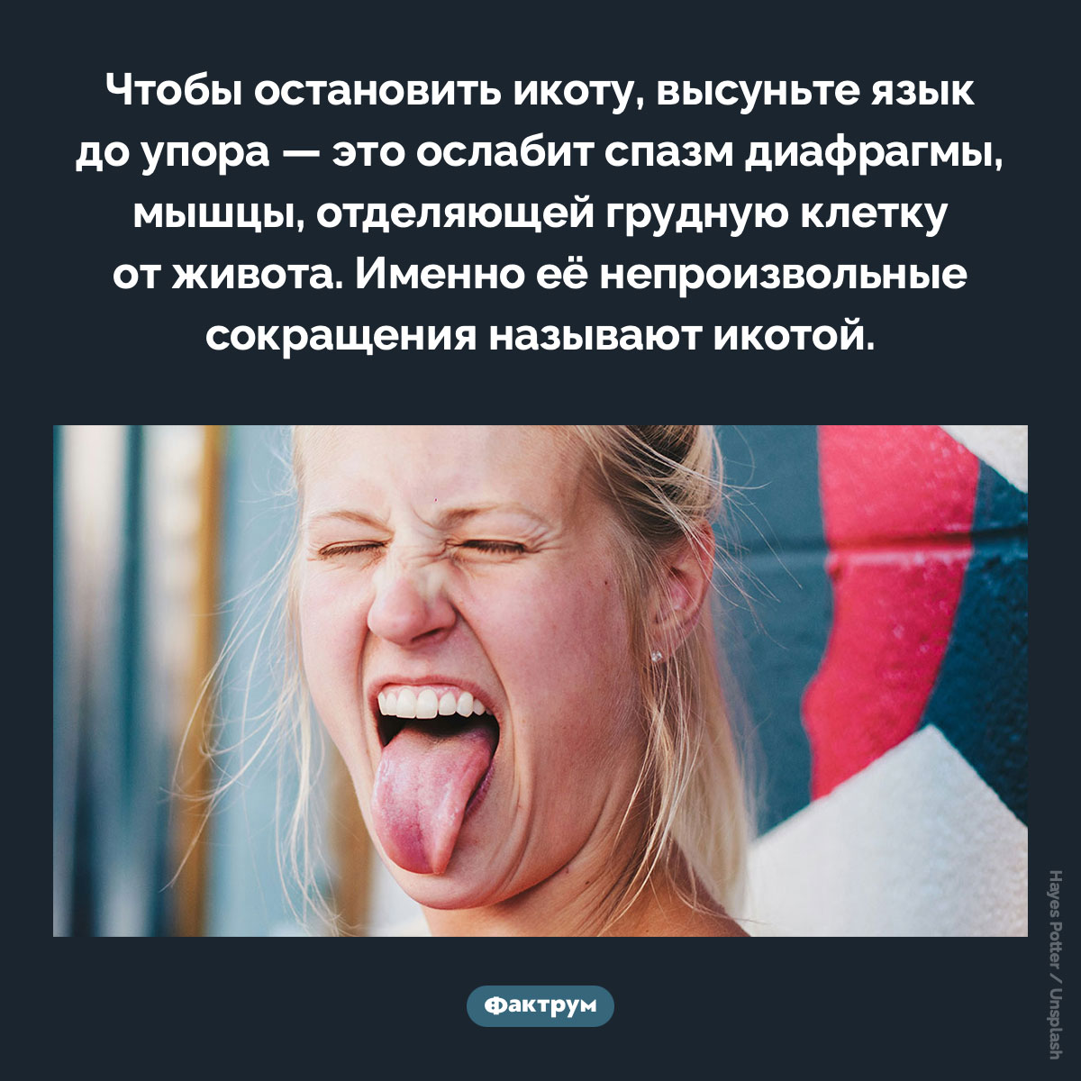 Как остановить икоту. Чтобы остановить икоту, высуньте язык до упора — это ослабит спазм диафрагмы, мышцы, отделяющей грудную клетку от живота. Именно её непроизвольные сокращения называют икотой.