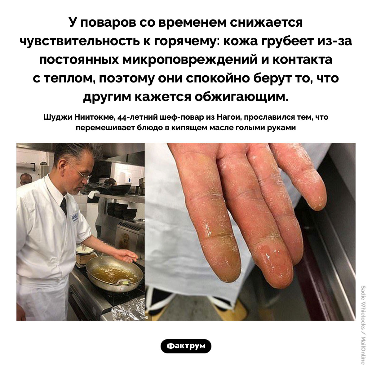 Кончики пальцев поваров со временем теряют чувствительность к горячему. У поваров со временем снижается чувствительность к горячему: кожа грубеет из-за постоянных микроповреждений и контакта с теплом, поэтому они спокойно берут то, что другим кажется обжигающим.