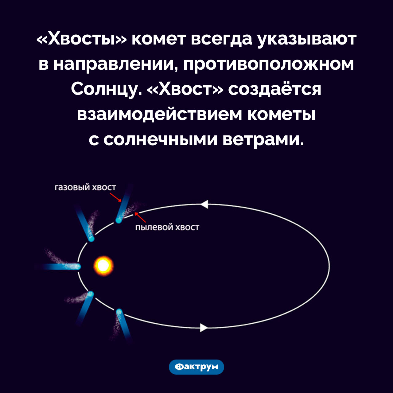 Куда указывают «хвосты» комет