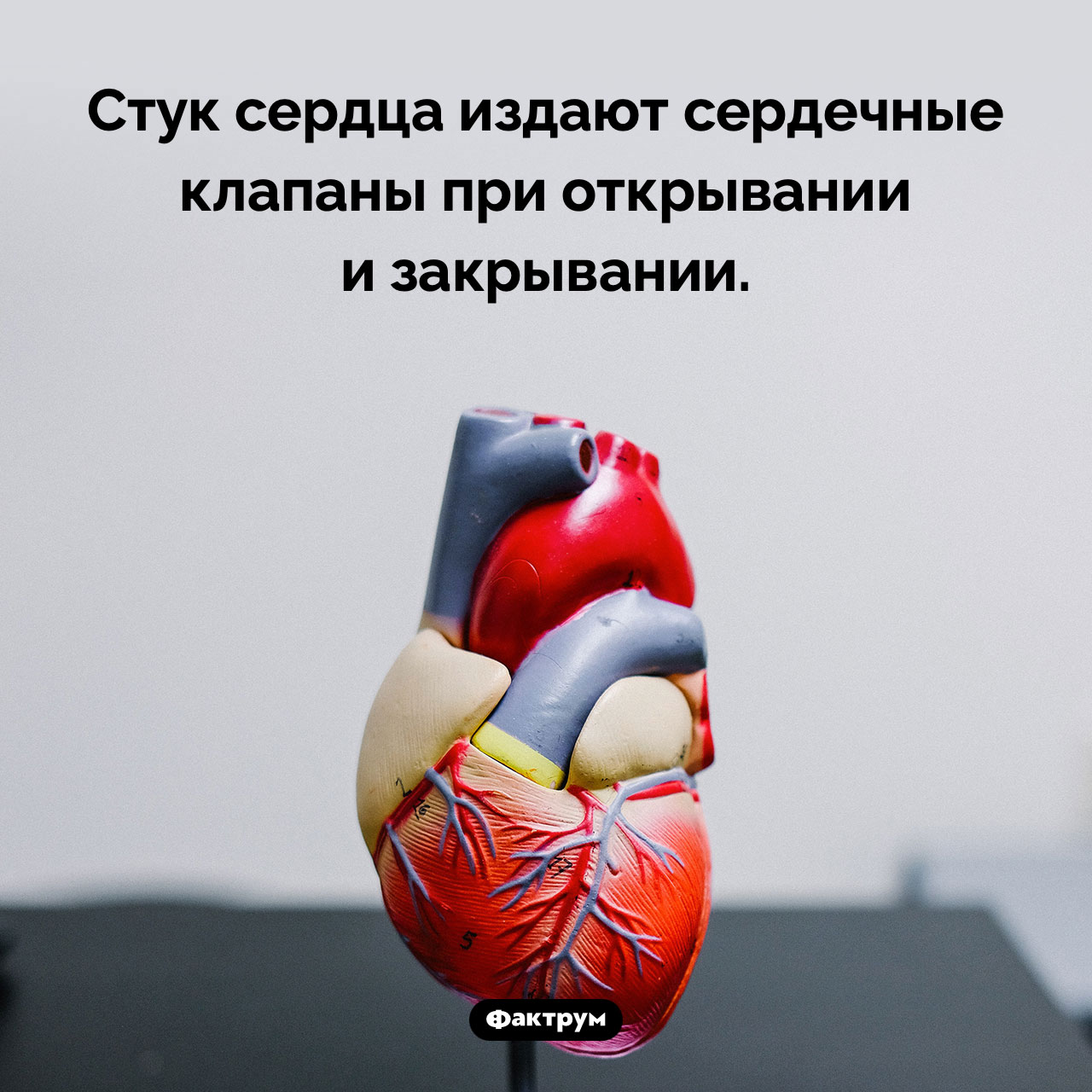 Почему сердце стучит