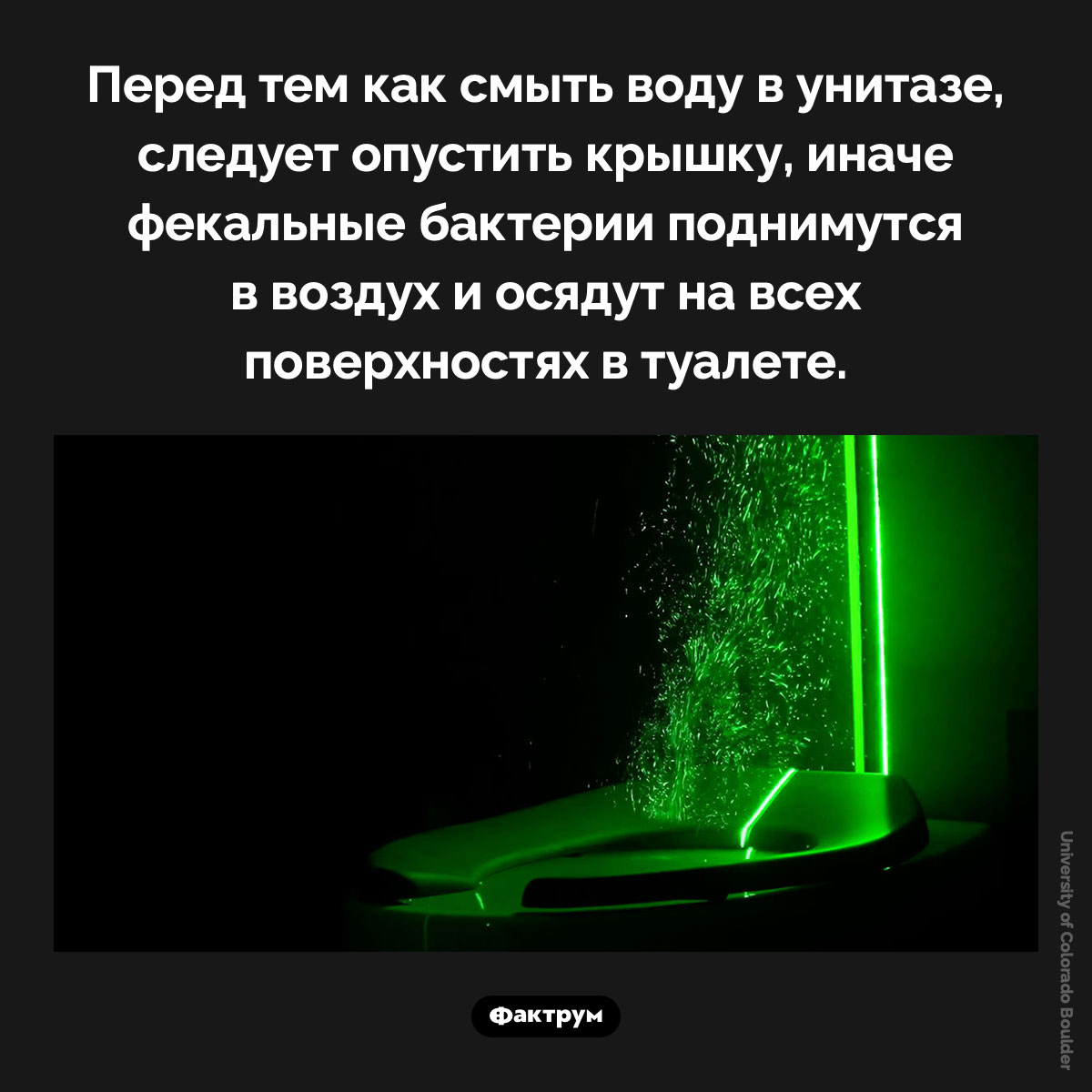 Почему следует опускать крышку унитаза перед тем как смыть. Перед тем как смыть воду в унитазе, следует опустить крышку, иначе фекальные бактерии поднимутся в воздух и осядут на всех поверхностях в туалете.