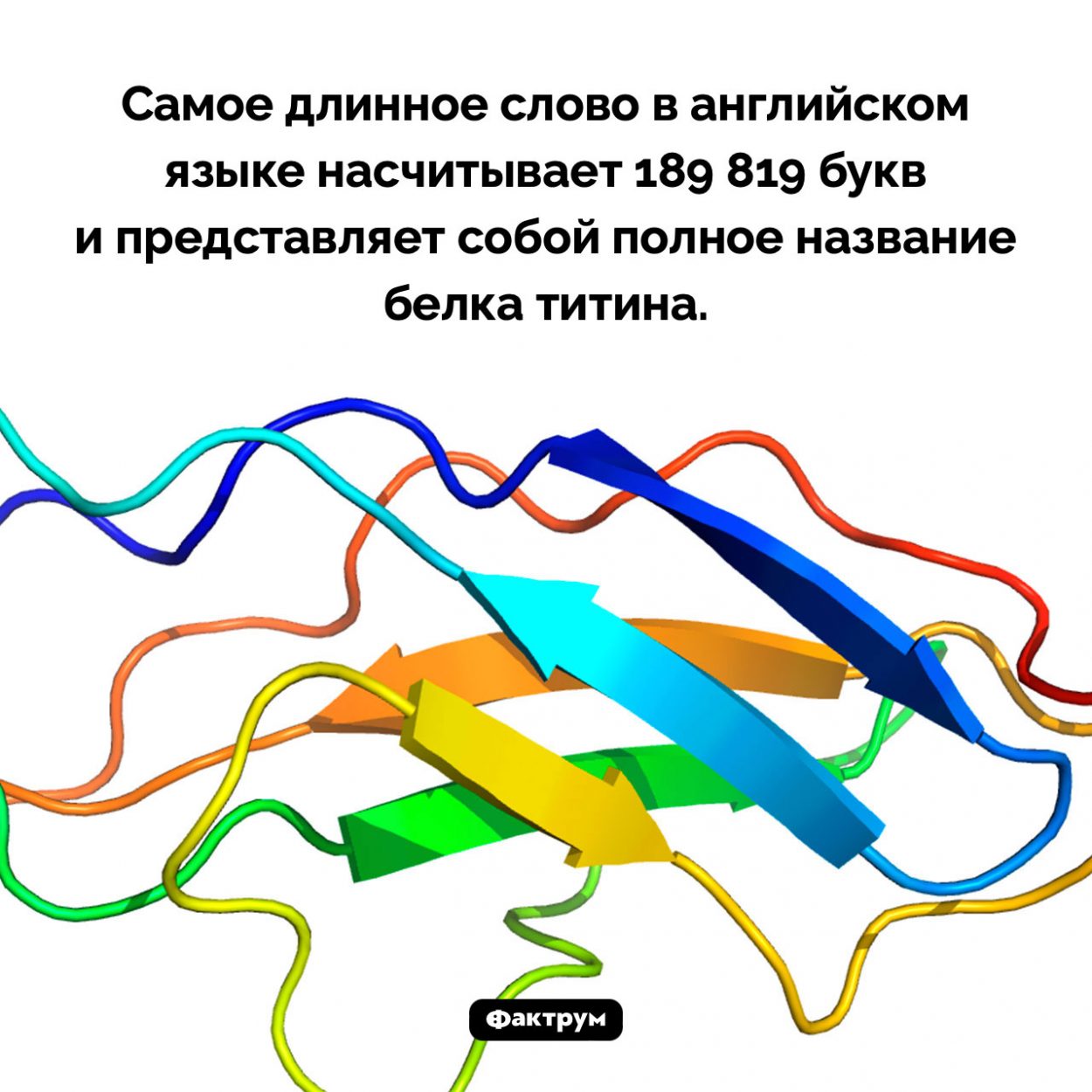 Самое длинное слово в английском языке. Самое длинное слово в английском языке насчитывает 189 819 букв и представляет собой полное название белка титина.