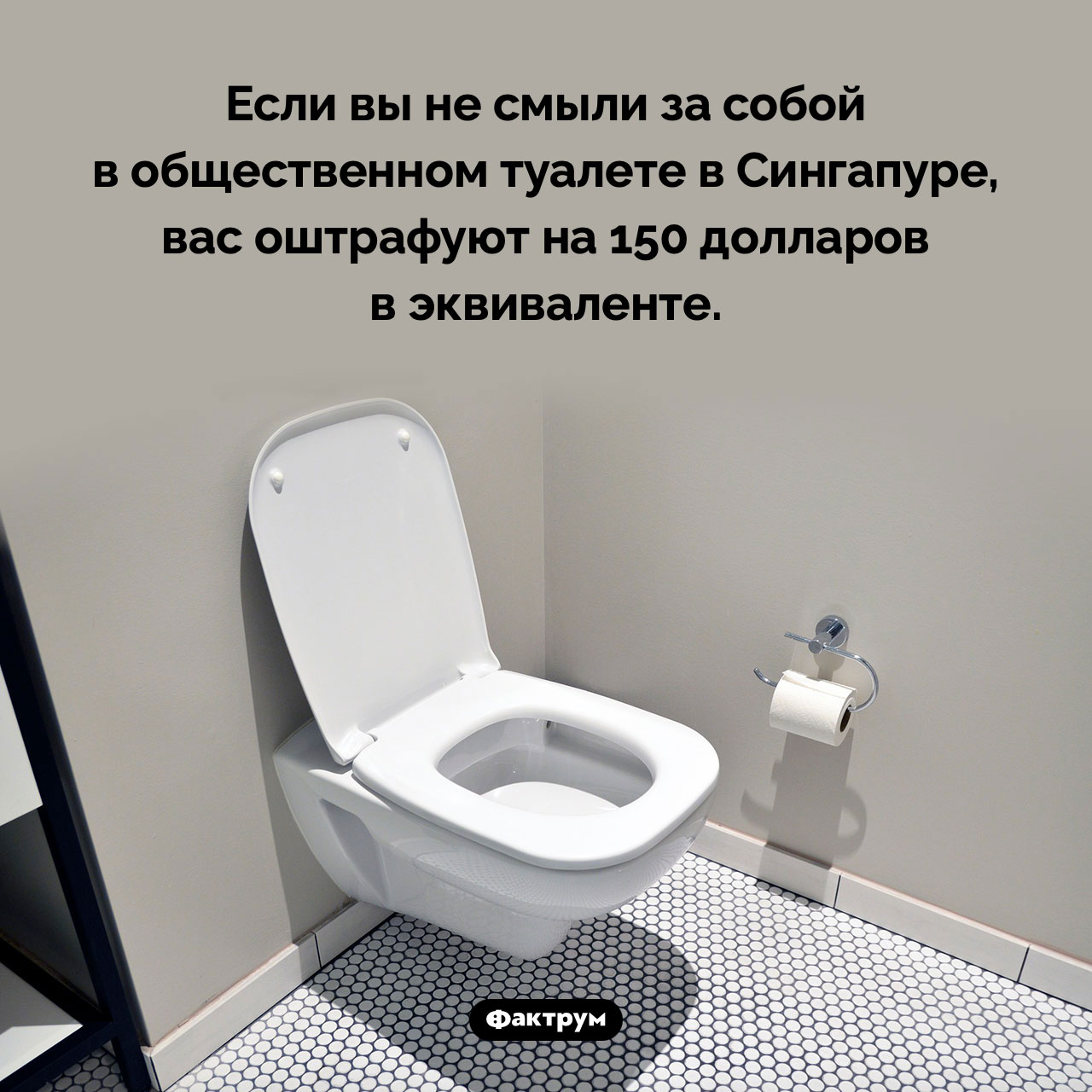 Штраф за несмытый унитаз
