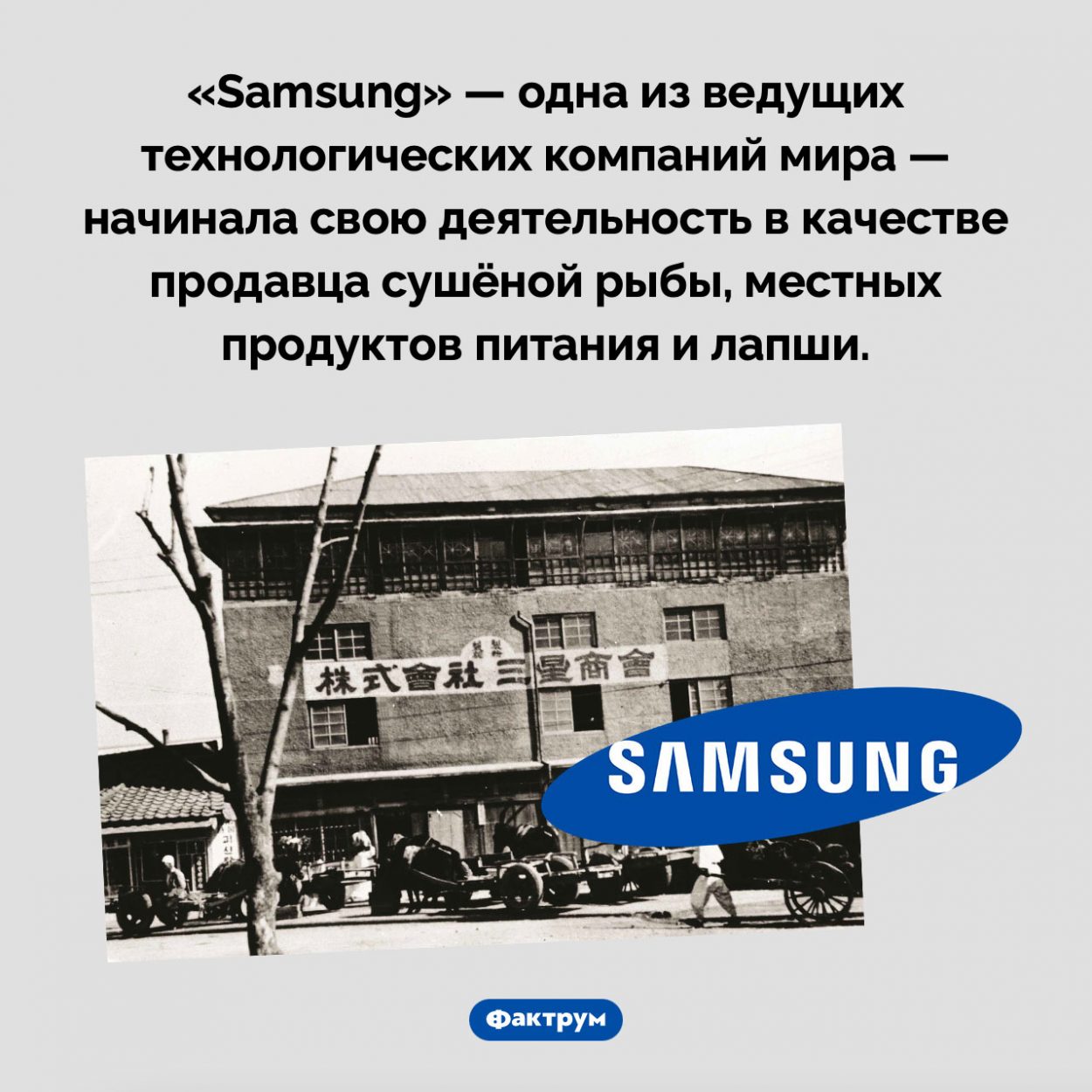 Сушеная рыба от «Samsung». «Samsung» — одна из ведущих технологических компаний мира — начинала свою деятельность в качестве продавца сушёной рыбы, местных продуктов питания и лапши. 