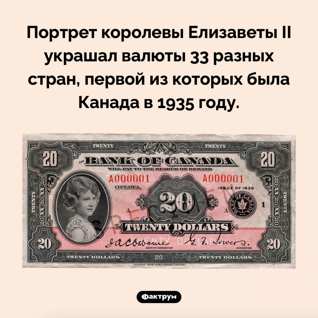Валюты каких стран украшал портрет королевы Елизаветы II. Портрет королевы Елизаветы II украшал валюты 33 разных стран, первой из которых была Канада в 1935 году.