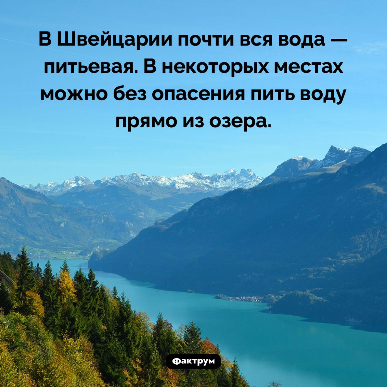 Вода в Швейцарии. В Швейцарии почти вся вода — питьевая. В некоторых местах можно без опасения пить воду прямо из озера.