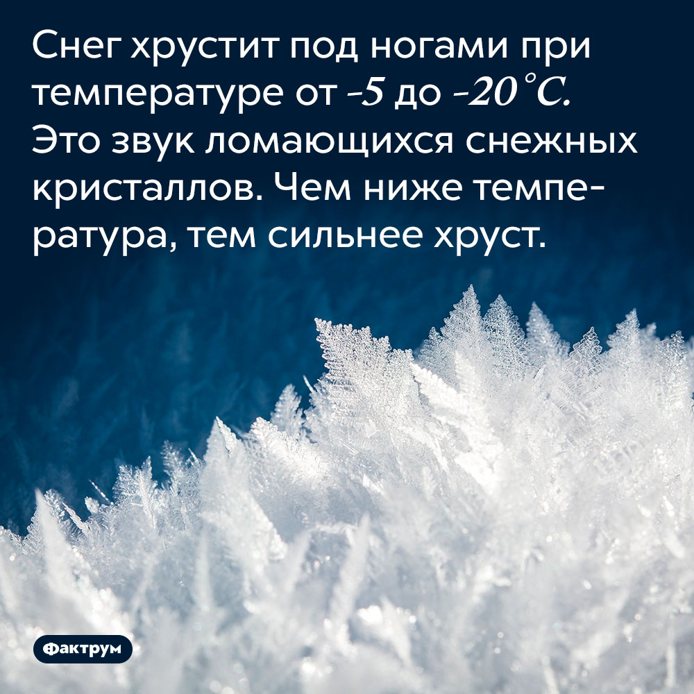 Снег хрустит под ногами при температуре от -5 до -20 °C. Это звук ломающихся снежных кристаллов. Чем ниже температура, тем сильнее хруст.