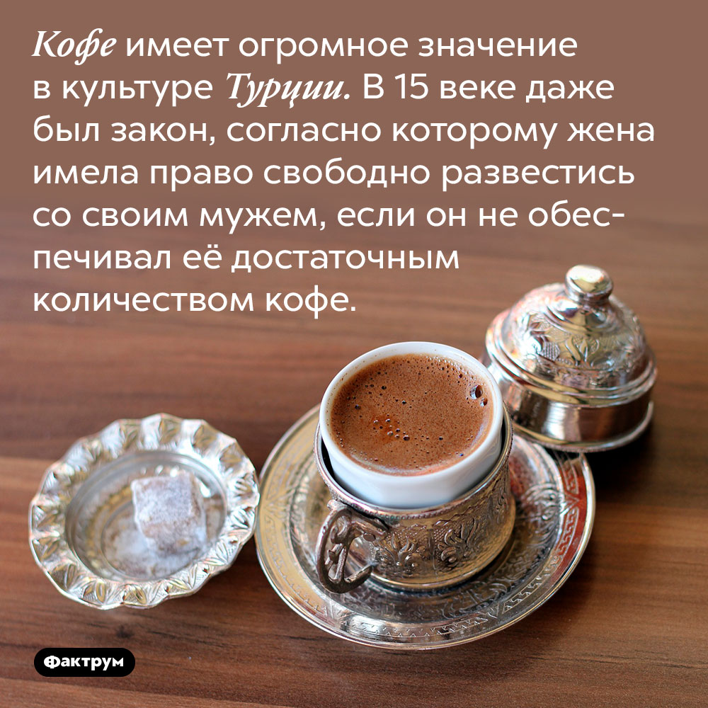 Кофе имеет огромное значение в культуре Турции. В 15 веке даже был закон, согласно которому жена имела право свободно развестись со своим мужем, если он не обеспечивал её достаточным количеством кофе.