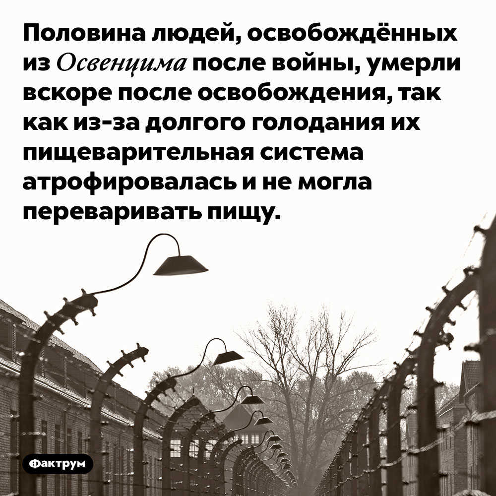 Половина людей, освобождённых из Освенцима после войны, умерли вскоре после освобождения, так как из-за долгого голодания их пищеварительная система атрофировалась и не могла переваривать пищу. 