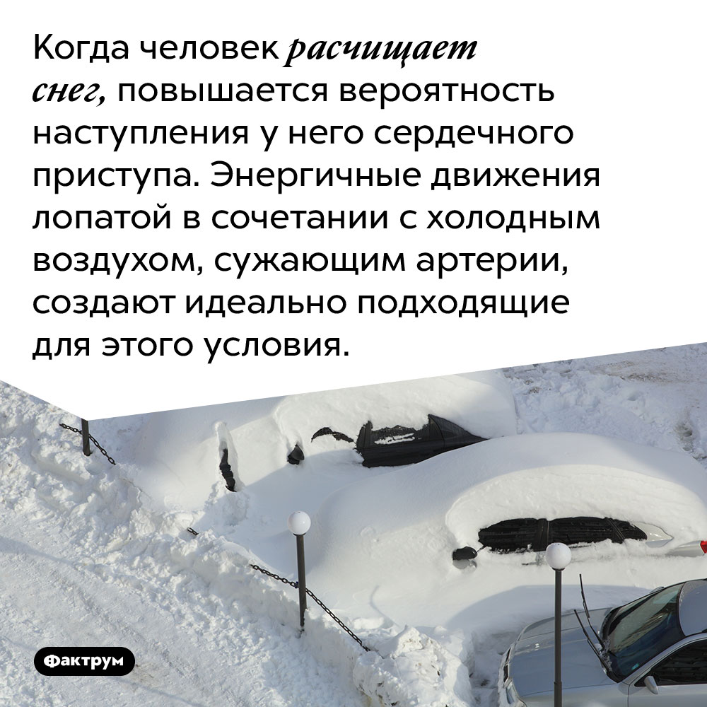 Когда человек расчищает снег, повышается вероятность наступления у него сердечного приступа. Энергичные движения лопатой в сочетании с холодным воздухом, сужающим артерии, создают идеально подходящие для этого условия.