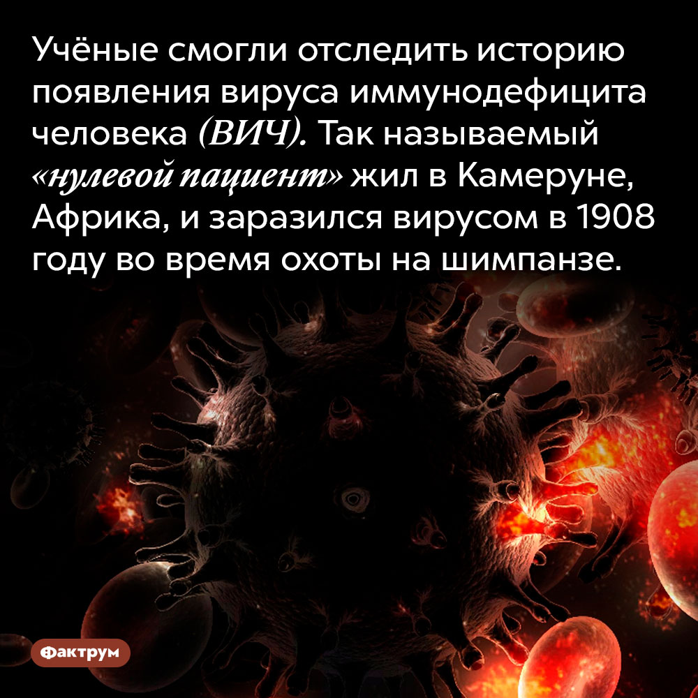 Учёные смогли отследить историю появления вируса иммунодефицита человека (ВИЧ). Так называемый «нулевой пациент» жил в Камеруне, Африка, и заразился вирусом в 1908 году во время охоты на шимпанзе.