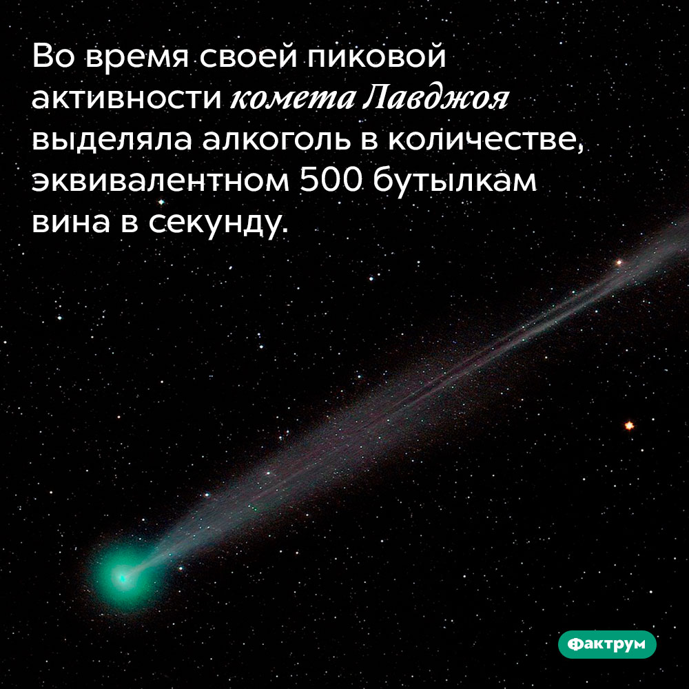 Во время своей пиковой активности комета Лавджоя выделяла алкоголь в количестве, эквивалентном 500 бутылкам вина в секунду.