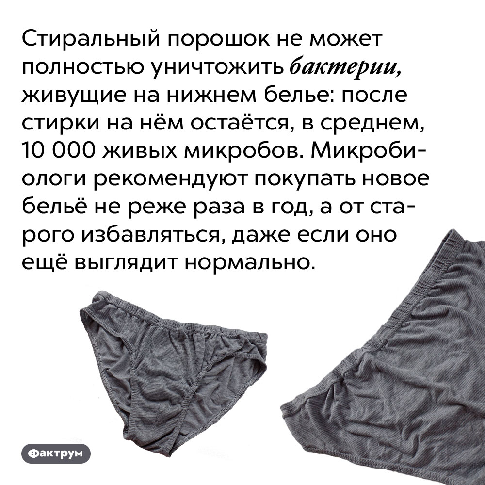 Стиральный порошок не может полностью уничтожить бактерии, живущие на нижнем белье. После стирки на нём остаётся, в среднем, 10 000 живых микробов. Микробиологи рекомендуют покупать новое бельё не реже раза в год, а от старого избавляться, даже если оно ещё выглядит нормально.