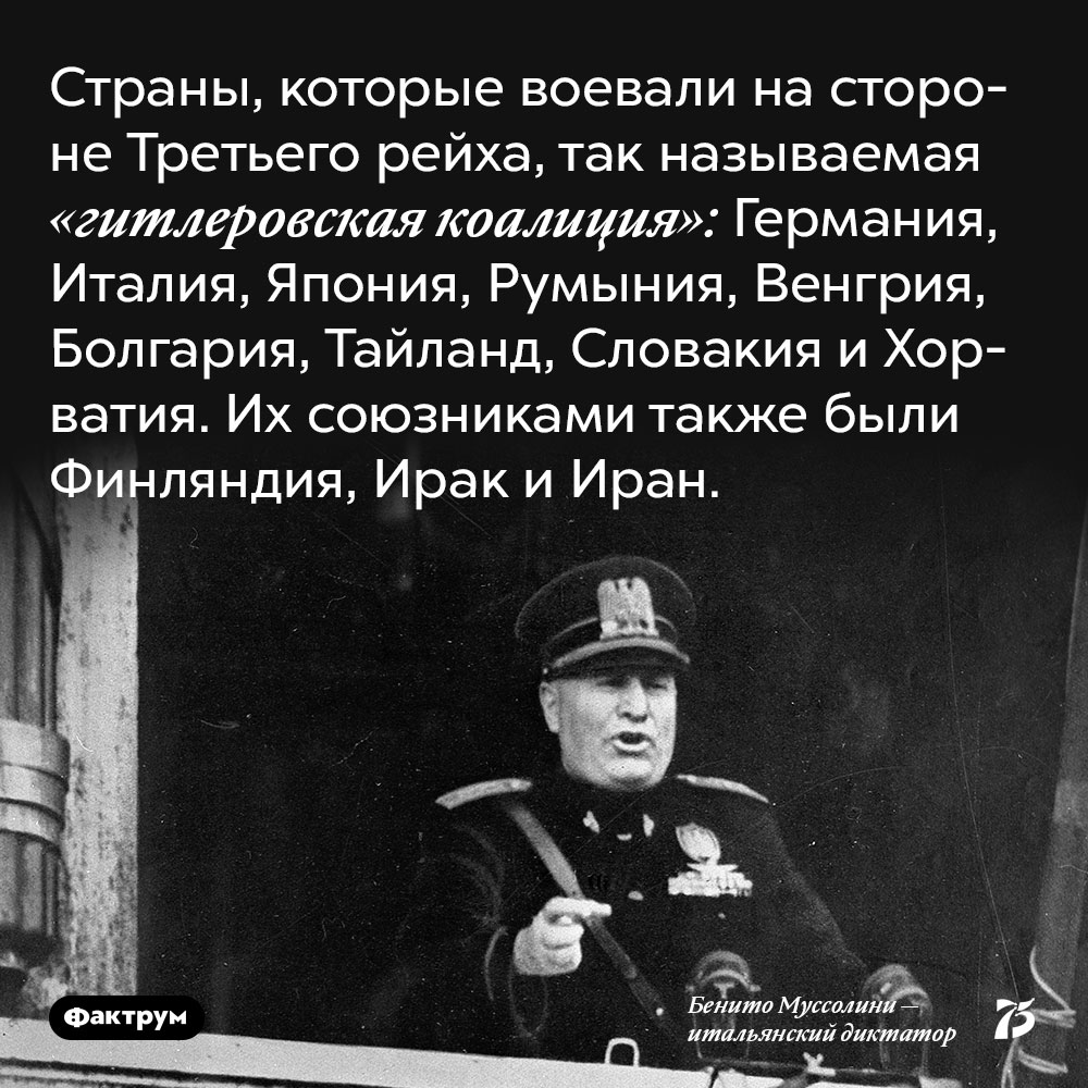 Страны, которые воевали на стороне Третьего рейха, так называемая «гитлеровская коалиция». Германия, Италия, Япония, Румыния, Венгрия, Болгария, Тайланд, Словакия и Хорватия. Их союзниками также были Финляндия, Ирак и Иран.