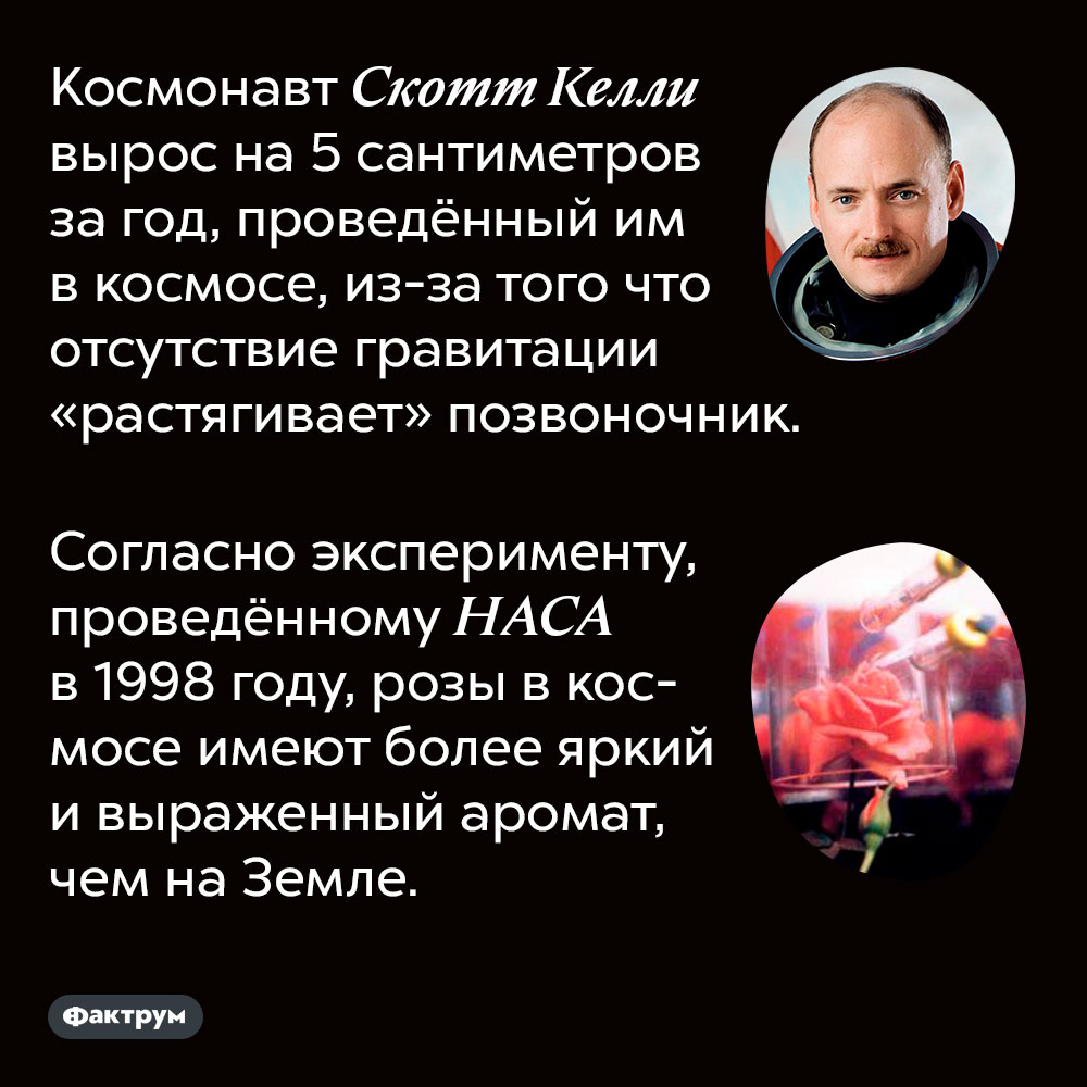 Космонавт Скотт Келли вырос на 5 сантиметров за год, проведённый им в космосе, из-за того что отсутствие гравитации «растягивает» позвоночник. Согласно эксперименту, проведённому НАСА в 1998 году, розы в космосе имеют более яркий и выраженный аромат, чем на Земле.
