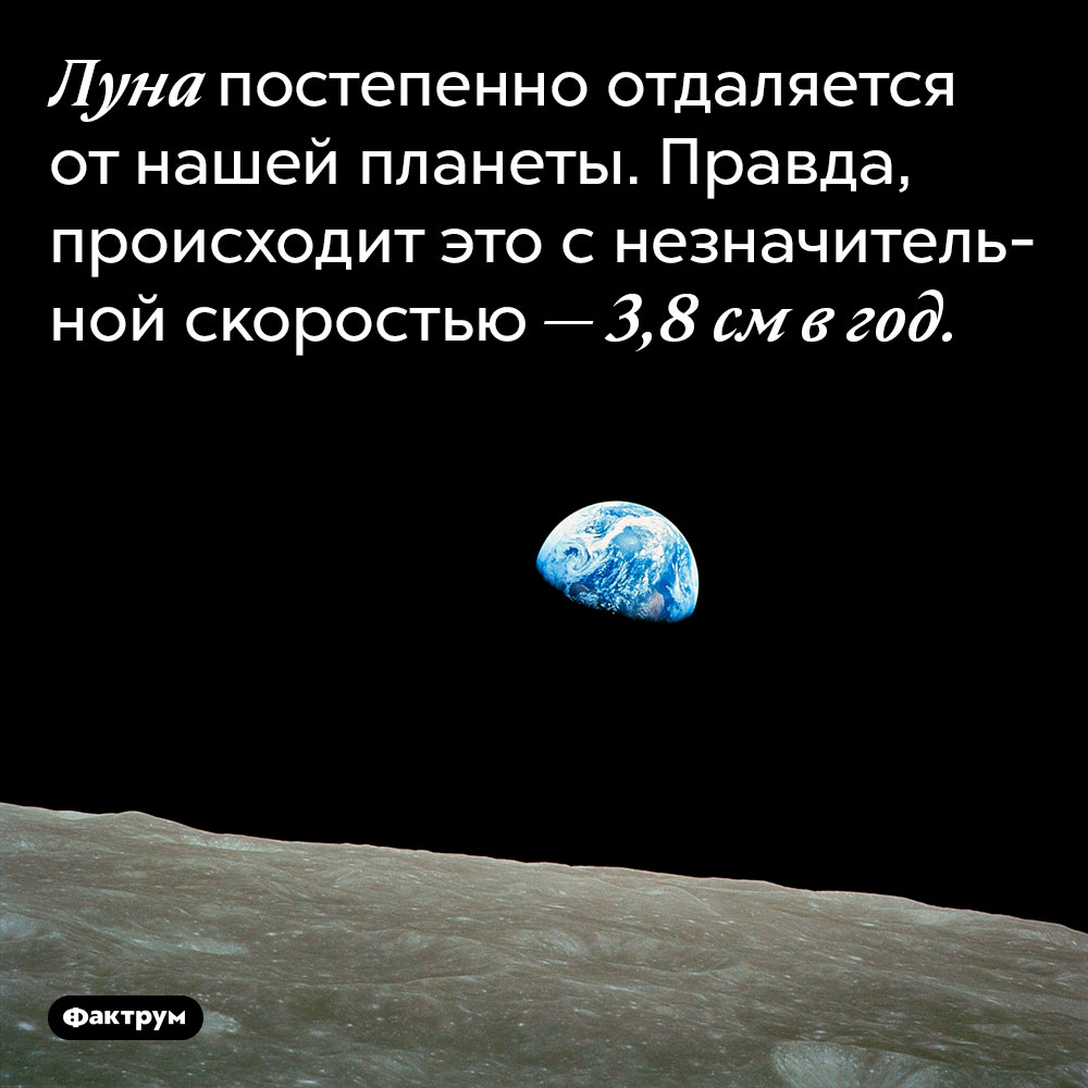 Луна постепенно отдаляется от нашей планеты. Правда, происходит это с незначительной скоростью — 3,8 см в год.