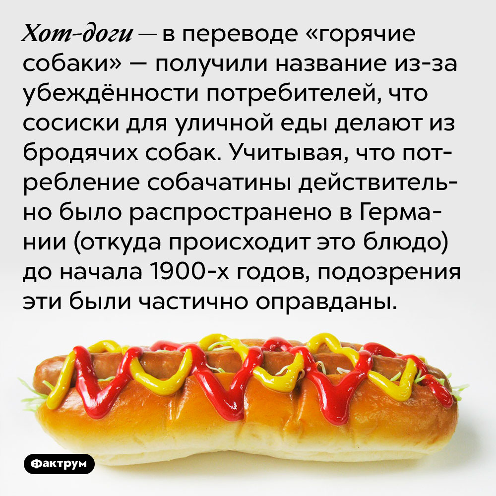 Хот-доги — в переводе «горячие собаки» — получили название из-за убеждённости потребителей, что сосиски для уличной еды делают из бродячих собак. Учитывая, что потребление собачатины действительно было распространено в Германии (откуда происходит это блюдо) до начала 1900-х годов, подозрения эти были частично оправданы.