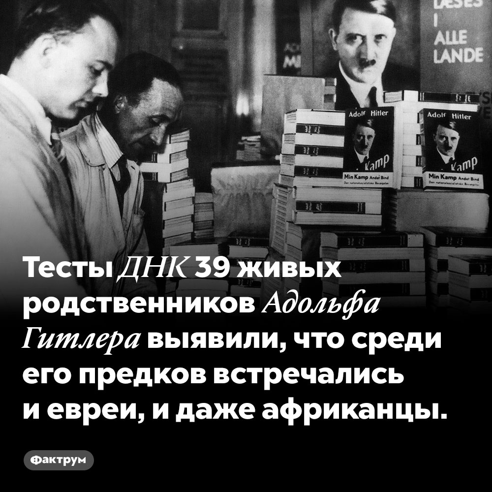 Тесты ДНК 39 живых родственников Адольфа Гитлера выявили, что среди его предков встречались и евреи, и даже африканцы.