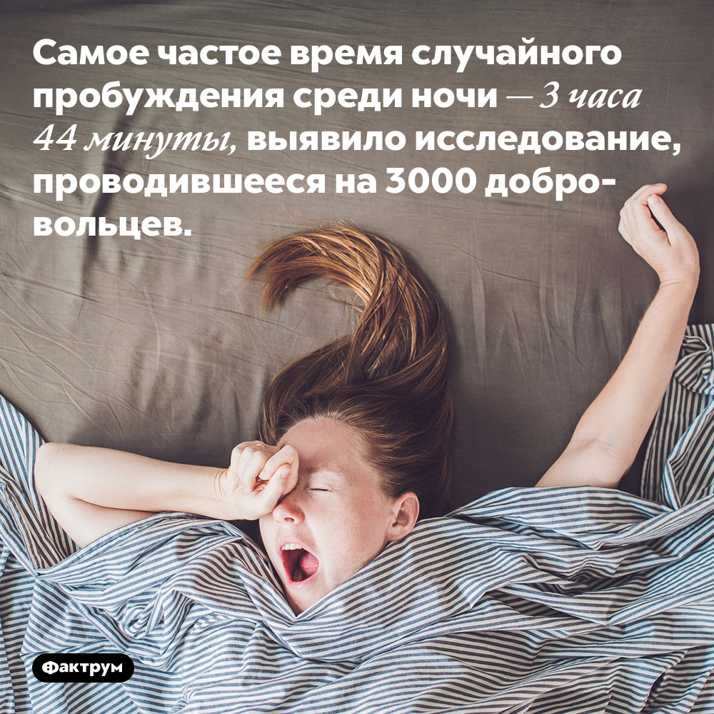 Самое частое время случайного пробуждения среди ночи — 3 часа 44 минуты, выявило исследование, проводившееся на 3000 добровольцев.