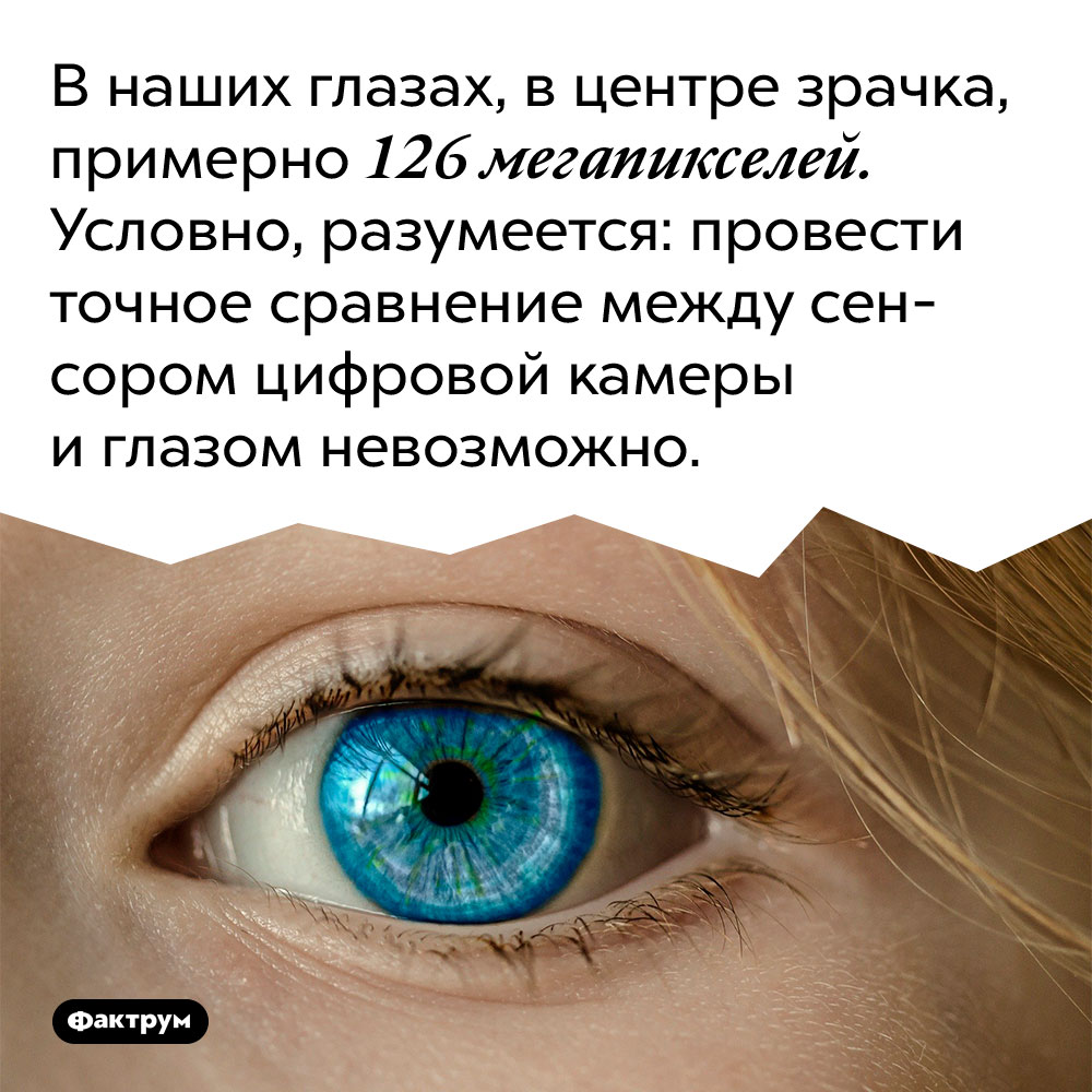 В наших глазах, в центре зрачка, примерно 126 мегапискелей. Условно, разумеется: провести точное сравнение между сенсором цифровой камеры и глазом невозможно.