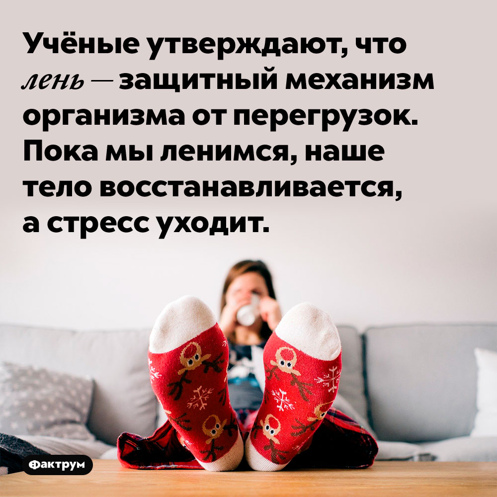 Учёные утверждают, что лень — защитный механизм организма от перегрузок. Пока мы ленимся, наше тело восстанавливается, а стресс уходит.