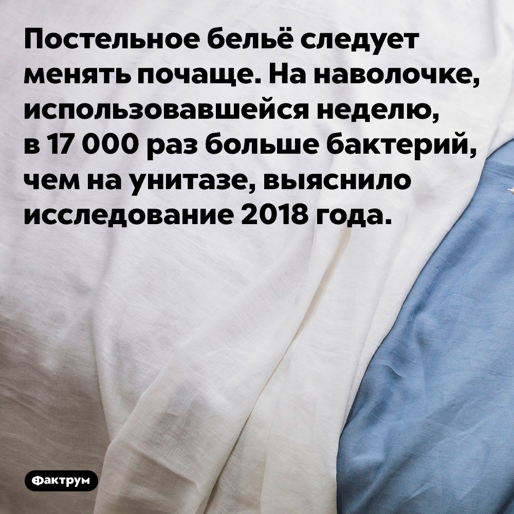 Постельное бельё следует менять почаще. Постельное бельё следует менять почаще. На наволочке, использовавшейся неделю, в 17 000 раз больше бактерий, чем на унитазе, выяснило исследование 2018 года.