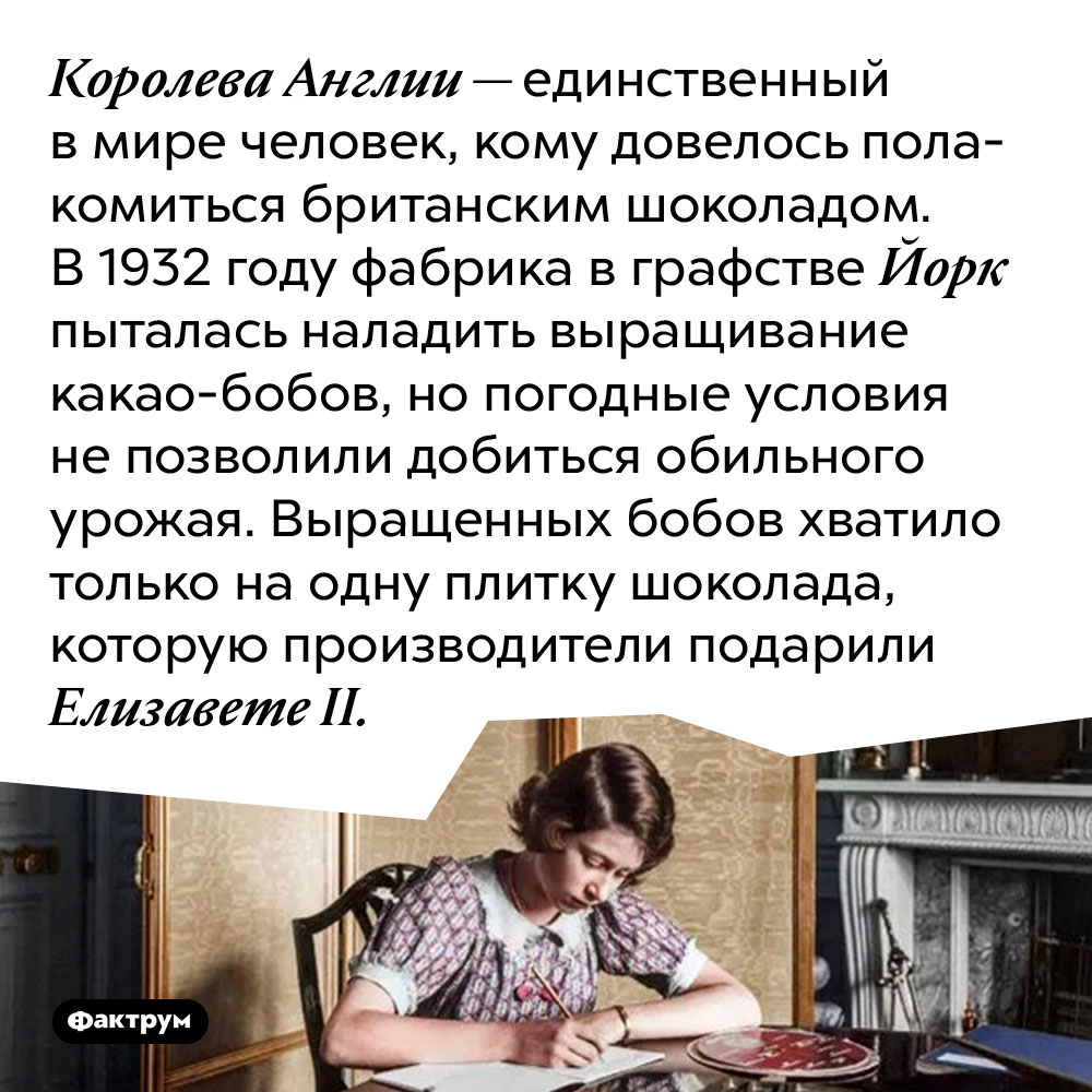 Королева Англии — единственный в мире человек, кому довелось полакомиться британским шоколадом. В 1932 году фабрика в графстве Йорк пыталась наладить выращивание какао-бобов, но погодные условия не позволили добиться обильного урожая. Выращенных бобов хватило только на одну плитку шоколада, которую производители подарили Елизавете II.